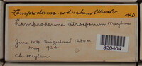 Image Associated With the Occurence